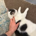 Tom looking for new home-0