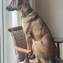 Looking for forever home. -1