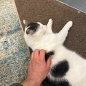 Tom looking for new home-1