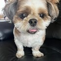Neeko needs a new home-4