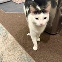 Tom looking for new home-2