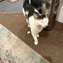 Tom looking for new home-3