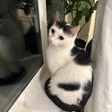 Tom looking for new home-5
