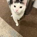 Tom looking for new home-4